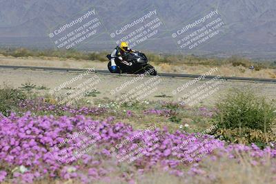 media/Feb-04-2023-SoCal Trackdays (Sat) [[8a776bf2c3]]/Turn 15 Inside Blooming (1050am)/